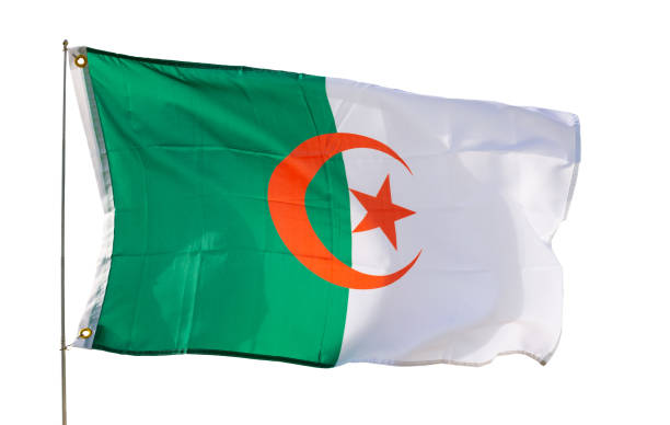 istock Flag of Algeria 1502629242