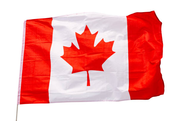 istock Flag of Canada against a cloudy sky close up 1502631042