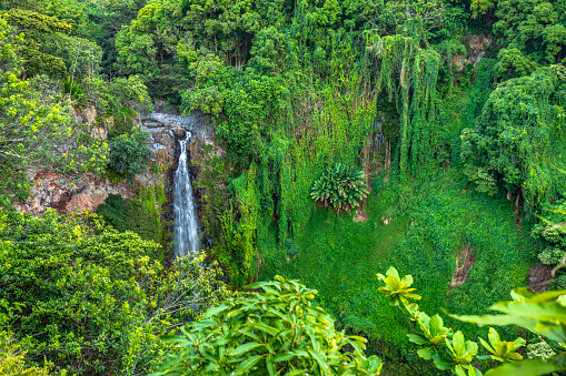 Large waterfall flowing into valley surrounded by lush foliage in natural rainforest.