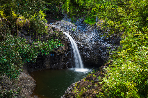 Waterfall flowing into swimming hole surrounded by lush foliage in natural rainforest.