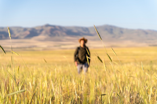 Embrace the Outdoors: Young Adventurer Walking through the Field with a Camping Backpack. A 19-year-old traveler: An adventurous university student. The theme of freedom and return to nature. Solitude and happiness. Fighting depression.
