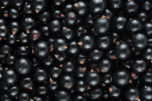 Fresh black currant as background, top view. Black currant texture.