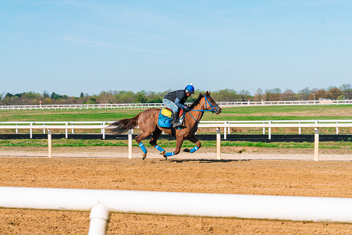 Skilled Racehorse Trainer Breezing a Thoroughbred at a High Rate of Speed on a Dirt Track on a Sunny Day in the Spring