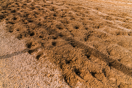 Fresh Horse Hoofprints in Recently Harrowed Steeplechase Racetrack Dirt on a Sunny Day. A Shadow of the Track Railing can be Seen in the Image.