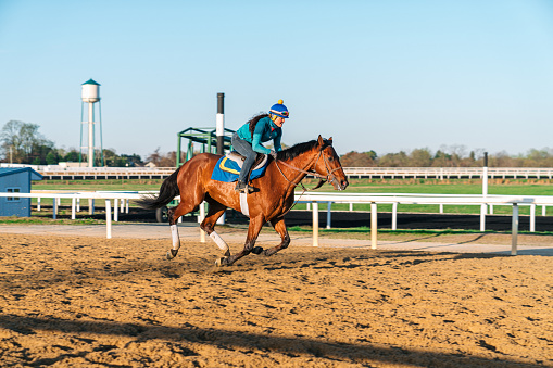 Expert Jockey Trainer Guiding a Thoroughbred Race Horse in a Breeze, Promoting Fitness and Stamina on a Dirt Track