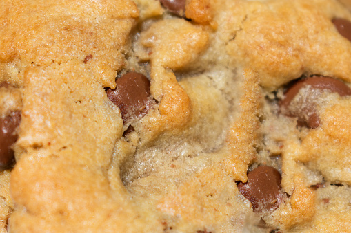 A golden homemade chocolate chip cookie up close