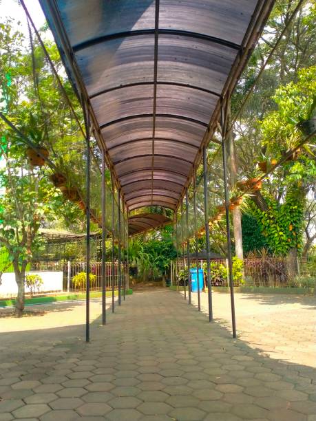istock Paved walkway with a canopy in the garden 1502753436
