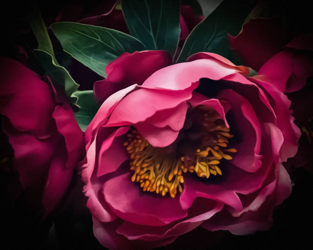 istock Fine Art Flowers 1502759991