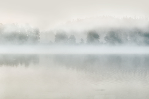 Background with misty forest lake reflection, Northern Europe