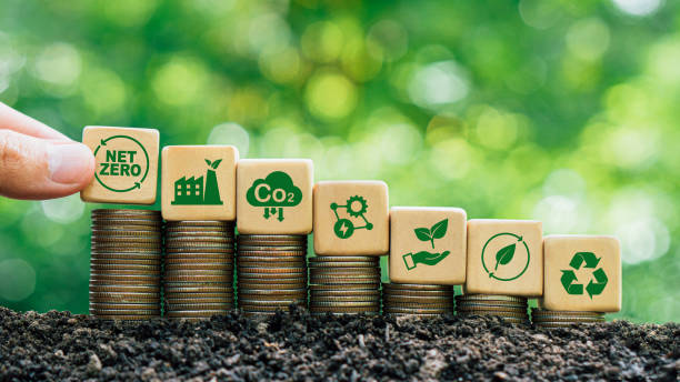 istock Net Zero and Carbon Neutral Concepts.Hand holding wooden cubes with green net zero icon and save world icon on stack coin with green background. 1502770024