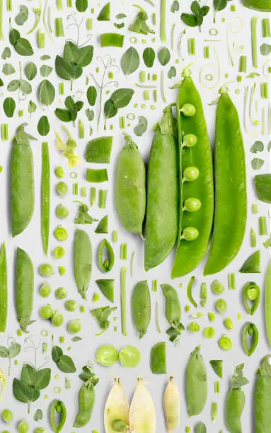 Pea and Pod vegetable piece, slice and leaf collection. Flat lay, seamless abstract on gray background.