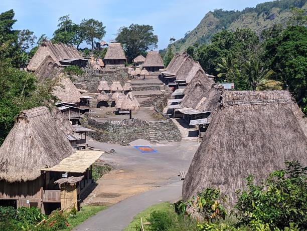 istock Traditional Indonesian village, Bena 1502774927