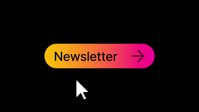 Newsletter button click  animation