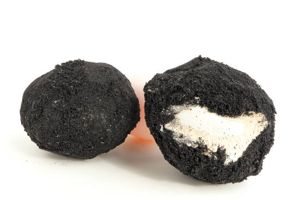 istock Salted duck egg made from covering fresh duck egg in damp, heavily salted charcoal made into a black clayish paste. 1502779088