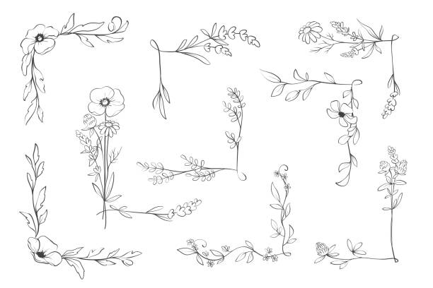 Conjunto de cantos florais de flores silvestres. - ilustração de arte em vetor