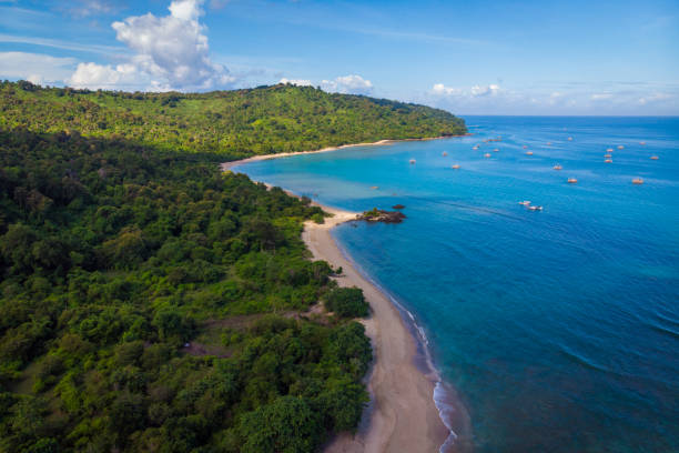 istock The green nature and coastal 1502782819