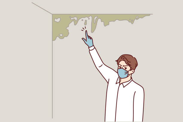 Man near wall with mold and spreading fungus that has arisen due to violation of building codes Man near wall with mold points finger at spreading fungus that has arisen due to violation of building codes. Inspector in white shirt and protective mask stands in room with mold. mildew stock illustrations