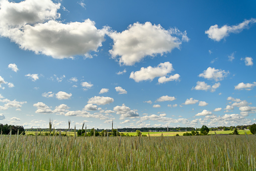 cumulus clouds in the blue sky, rural landscape, idyllic scenery.  without people, Polish countryside