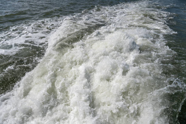 Waves formed in the sea
