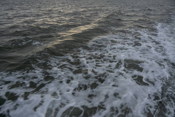 The passenger ship is sailing at sea, with the surging sea water