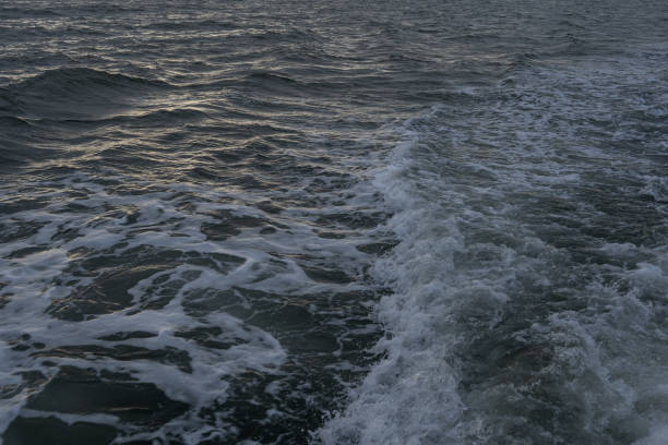 Crossing with a  ferry from denmark to norway