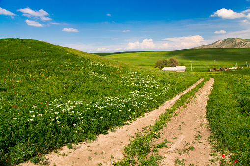 Beautiful spring and summer landscape. Mountain country road among green hills. Lush green hills, high mountains. Spring flowering grass. Summer natural background.