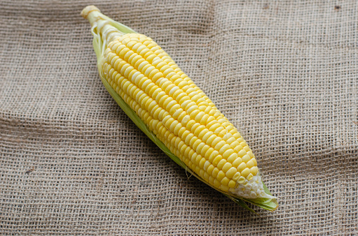 one corn on brown cloth bag, side view and closeup