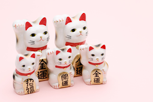 Japanese lucky cat on white background, Japanese word of this photography means \