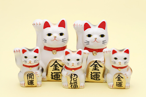 Japanese lucky cat on yellow background, Japanese word of this photography means \