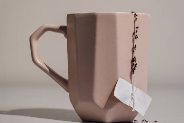 istock Ants on a cup in the house - coming in on a string 1502817077