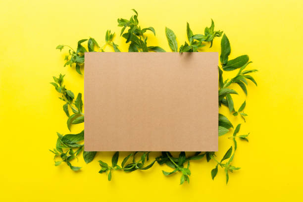 istock Wreath frame made of empty paper blank with space for text and mint leaves on colored background. . Mint Pattern. Flat lay. Top view 1502817790