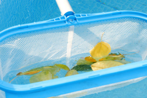 istock Cleaning a swimming pool with a mesh skimmer . The long net cleans colored leaves off surface of the water 1502817851
