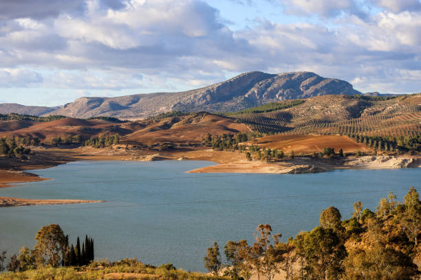 Lake Guadalhorce in the region of Málaga This lake is visible by car or on foot via the hiking trails that surround the lake. alicia rivers stock pictures, royalty-free photos & images