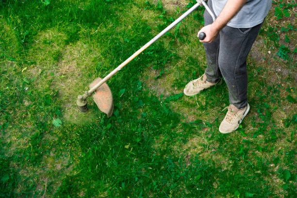 istock A man mows the grass with a mower in his garden plot in summer 1502829032