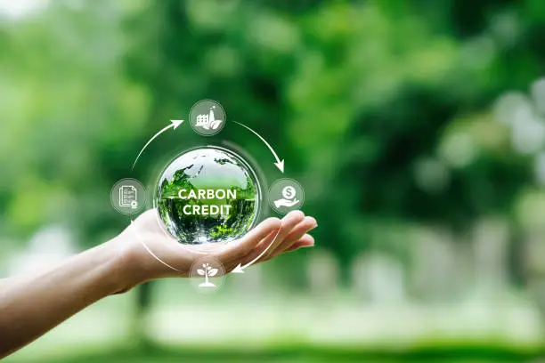 Photo of Carbon credit or CO2 trading market. Carbon tradable certificates for buy-sell. Business and environment sustainable. industry and company Reduc of carbon emissions to Net zero greenhouse gas target.