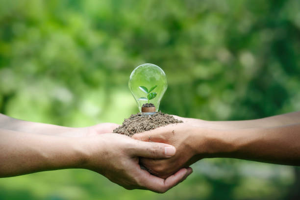hands holding light bulbs and trees planted grow on the pile coin stack. .energy saving and Eco business investment. Renewable energy generation Green business. ESG and environmental investment