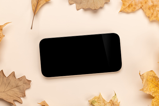Smartphone with blank screen on a table surrounded by autumn nature leaves, perfect design mockup