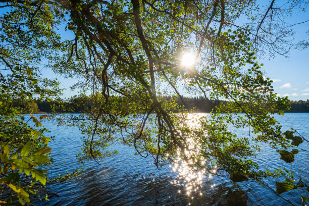Beautiful view with sun reflection in the water