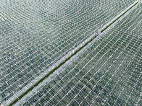 Greenhouse for growing vegetables on an industrial scale aerial view from above with clouds reflected in the glass.
