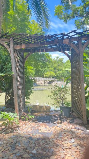 istock The garden arch in the park 1502843358