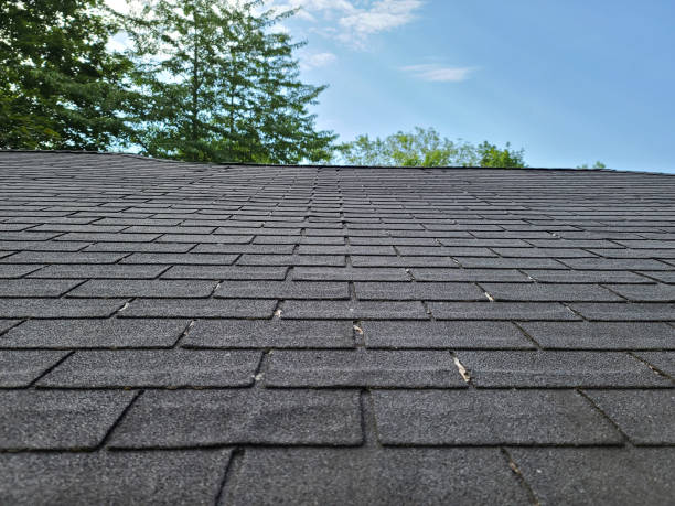 istock Closeup of Shingled Roof 1502846099