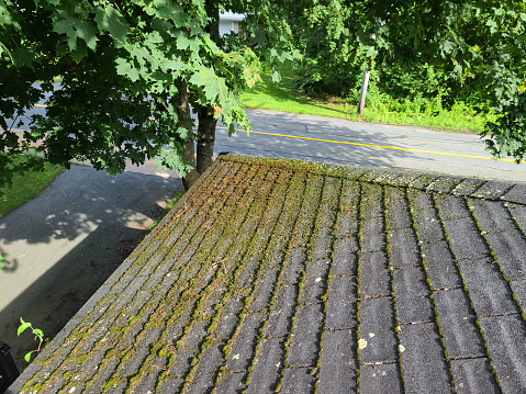 A shingled roof with lots of mildew growing on the shingles.