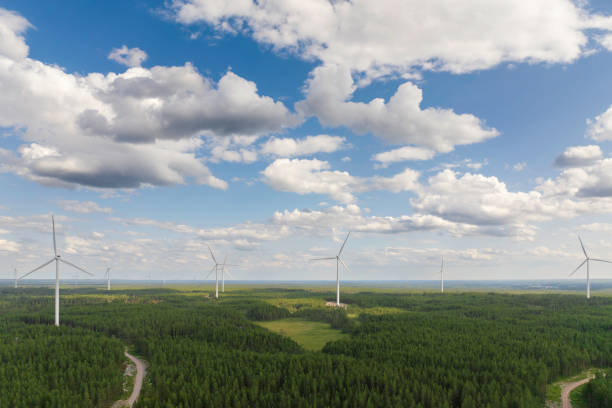 istock Wind turbines in a forest landscape in summer 1502848239