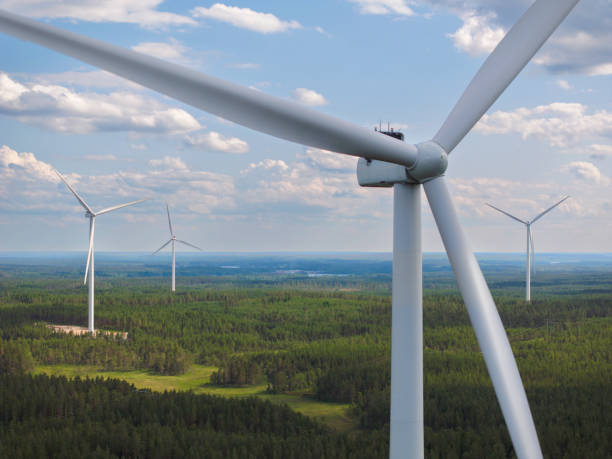 A forest landscape with wind turbines on a summer day