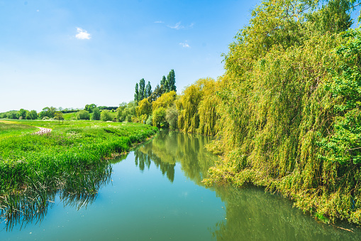 A beautiful scenic view of green trees alongside a river under a blue sky