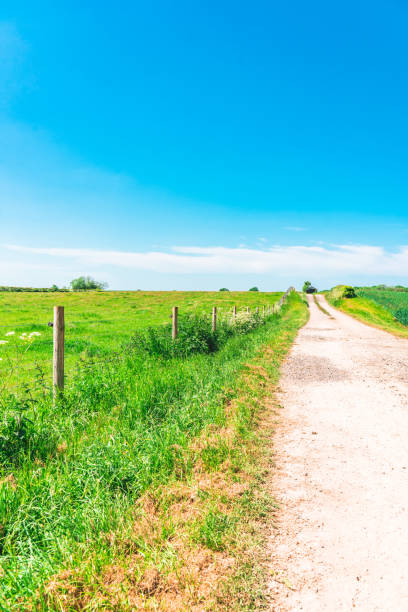 istock Rural Landscape with Winding Farm Road Through Field 1502856972