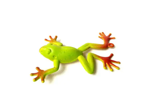 Photo of Close up of green frog toy isolated on white background.