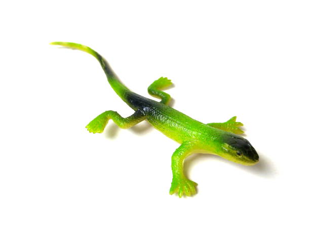 istock Close up of lizard toy isolated on white background. 1502859481
