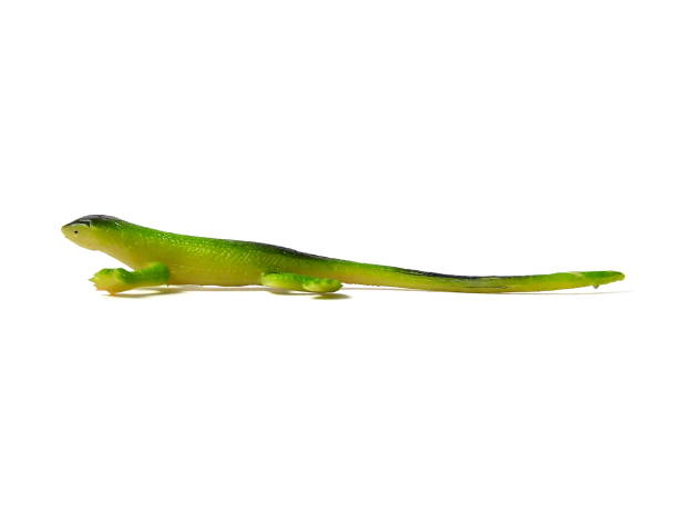istock Close up of lizard toy isolated on white background. 1502859483