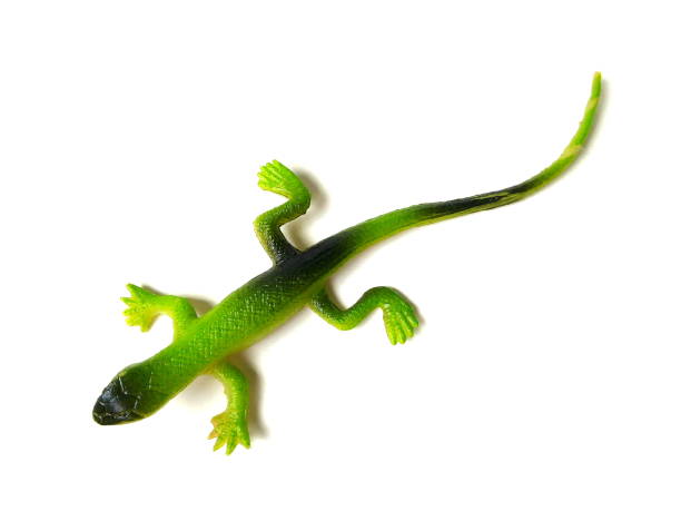 istock Close up of lizard toy isolated on white background. 1502859485